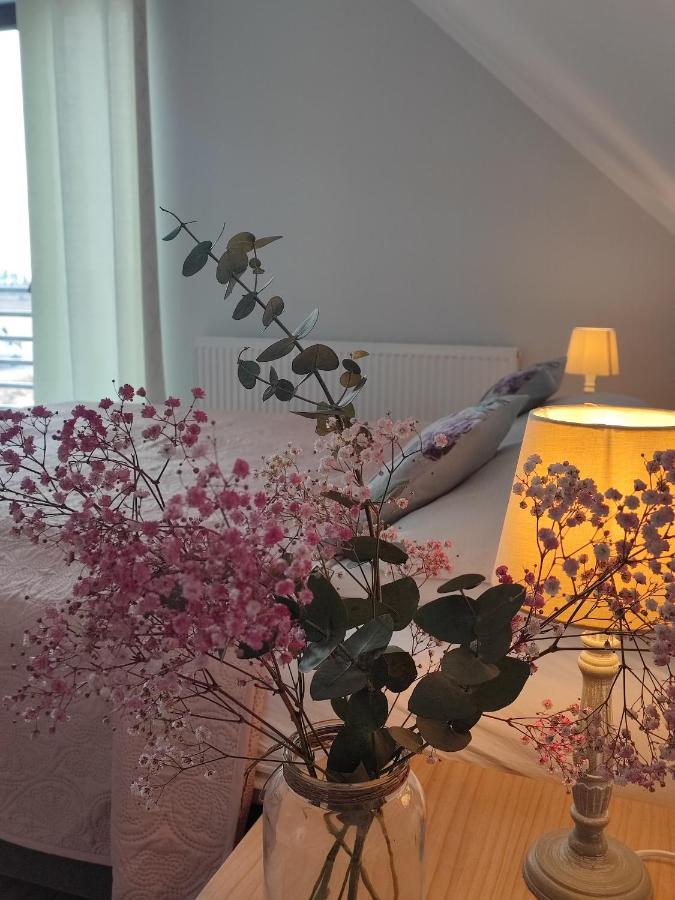 Dom Goscinny Wigierska Niemasowka Bryzgiel Eksteriør bilde